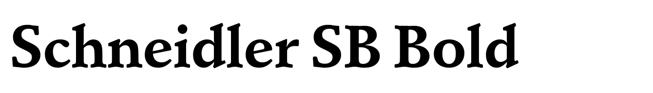 Schneidler SB Bold